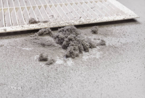 Best Home Air Vent Cleaning  in Nassau Bay, TX